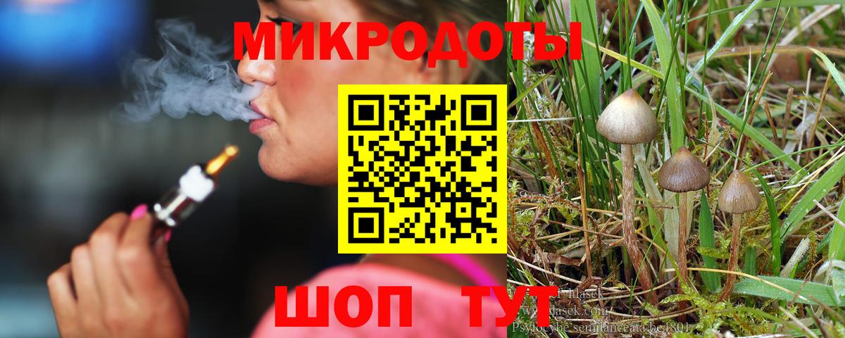 Галлюциногенные грибы прущие грибы  Вход с VPN  Губаха 